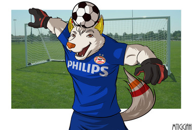 Rating: s
ID: 844641
Date: 2016-03-07 14:32:15 -0500
Status: active
Score: 3
absurd_res anthro ball canid canine canis clothed clothing digital_media_(artwork) fur gloves handwear hi_res male mammal mtiggah outside photo_background photography_(artwork) psv_eindhoven shaded soccer soccer_ball solo sport volskar white_body white_fur wolf post #844641
