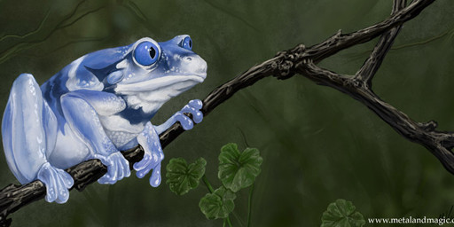 ambiguous_gender amphibian blue_eyes branch feral frog leaf solo tree ursula_vernon wood
Rating: Safe
Score: 2
User: Clawstripe
Date: September 10, 2017 ambiguous_gender amphibian blue_eyes branch feral frog leaf solo tree ursula_vernon wood
Rating: Safe
Score: 2
User: Clawstripe
Date: September 10, 2017