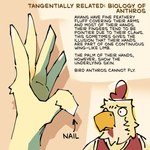 Rating: s
ID: 5551954
Date: 2025-05-05 23:31:22 -0400
Status: active
Score: 5
1:1 adamphoebe anatomy anatomy_reference anthro avian avian_caruncle beak bird chicken comb_(anatomy) conditional_dnp english_text feathers galliform gallus_(genus) head_crest male not_furry_focus phasianid sketch solo tan_body tan_feathers text thomas_plymouth yellow_beak post #5551954
