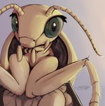 post #3428945