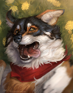 Rating: s
ID: 3168366
Date: 2022-02-10 01:57:40 -0500
Status: active
Score: 22
2022 ambiguous_gender black_body black_fur black_nose canid canine canis digital_media_(artwork) domestic_dog feral fur hi_res lucky_(luckymutt) mammal open_mouth smile solo tamaskan_dog teeth tongue white_body white_fur wolnir yellow_eyes post #3168366