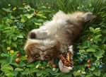 Rating: s
ID: 2570783
Date: 2021-01-14 02:35:33 -0500
Status: active
Score: 48
2018 ambiguous_gender arthropod belly blueberry_(fruit) blueberry_bush brown_body brown_fur buttercup_(flower) butterfly clover_(plant) colored day detailed detailed_background detailed_food detailed_fur domestic_cat duo elena_roslyakova feet felid feline felis feral flower fluffy fluffy_tail food fruit fur grass green_eyes green_grass hi_res in_grass insect leaf lepidopteran light lighting mammal outside photorealism pink_nose plant pupils realistic_lighting realistic_shading shrub signature slit_pupils strawberry strawberry_plant swallowtail_butterfly tabby_fur tail whiskers white_belly white_body white_feet white_fur white_snout post #2570783