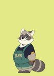 Rating: s
ID: 4064745
Date: 2023-05-21 12:41:08 -0400
Status: active
Score: 28
2023 absurd_res anthro biped blush bonasiah clothing grey_body hi_res humanoid_hands kemono mammal overalls procyonid quanjiang raccoon rocco_(zoohomme) shirt slightly_chubby solo topwear young young_anthro zoohomme post #4064745
