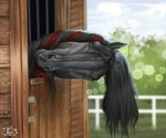 Rating: s
ID: 5419889
Date: 2025-03-08 10:00:49 -0500
Status: active
Score: 25
6:5 cheeky equid equine feral fionn_(drakengarth) hair head_tilt hi_res horse looking_at_viewer male mammal quadruped rin-ki stable tail post #5419889