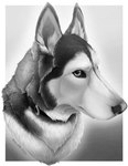 Rating: s
ID: 5342934
Date: 2025-01-31 16:31:24 -0500
Status: active
Score: 14
2024 artist_name black_collar black_nose border bust_portrait canid canine canis collar dated digital_drawing_(artwork) digital_media_(artwork) domestic_dog english_description feral fur gradient_background grey_background grey_body grey_eyes grey_fur greyscale hi_res husky light lighting male male_(lore) mammal maticdesigns milo_the_husky monochrome mouth_closed multicolored_body multicolored_fur nordic_sled_dog portrait realistic shaded siberian_husky simple_background solo spitz text three-quarter_portrait white_body white_border white_fur post #5342934