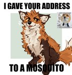 Rating: s
ID: 5601132
Date: 2025-05-26 23:17:08 -0400
Status: active
Score: 56
2025 ambiguous_gender atkaso blep brown_body brown_fur canid canine claws cute_fangs digital_media_(artwork) emanata english_text fangs feet feral fox full-length_portrait fur hi_res image_macro impact_(font) looking_at_viewer mammal meme multicolored_body multicolored_fur multiple_images orange_body orange_fur paws photo photo_reference photography_(artwork) portrait reaction_image reference_image simple_background smug solo tail teeth text toe_claws toes tongue tongue_out white_background white_body white_fur post #5601132