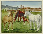 Rating: s
ID: 5282511
Date: 2025-01-02 15:16:39 -0500
Status: active
Score: 14
20th_century ambiguous_gender ancient_art border brown_body brown_fur brown_tail building day equid equine feral fur group hi_res hooves horse johann_georg_zahndler mammal outside plant public_domain quadruped realistic renaissance_architecture signature tail traditional_media_(artwork) tree white_body white_border white_fur white_tail young young_feral post #5282511