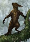 Rating: s
ID: 2351419
Date: 2020-07-31 01:56:06 -0400
Status: active
Score: 31
2014 4_fingers 4_toes ambiguous_gender anthro arm_support avian_feet balancing beak biped branch brown_body brown_claws brown_fur brown_scales claws cloud_forest clover_(plant) clover_leaf dappled_light day depth_of_field detailed detailed_background featureless_crotch feet fingers fog forest four_leaf_clover front_view fungus fur hi_res high_place hybrid imp leaf looking_away membrane_(anatomy) moss mushroom nature nude on_branch orange_sclera outside patagium plant pupils ramul scales scuted_arms scutes slim small_pupils solo sprout_(plant) standing toes tree tropical under_shade vines post #2351419