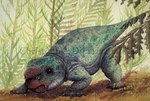 Rating: s
ID: 5128238
Date: 2024-10-20 16:16:21 -0400
Status: active
Score: 2
2017 5_claws 5_toes ambiguous_gender artist_name beak bulbasaurus_phylloxyron christopher_dipiazza claws colored crouching dicynodont eupelycosaur feet feral front_view full-length_portrait green_body green_markings green_skin green_spots green_tail head_down hi_res markings painting painting_(artwork) plant portrait prehistoric_species quadruped real_world realistic red_beak red_markings signature solo spots synapsid tail text therapsid three-quarter_view toe_claws toes traditional_media_(artwork) watermark post #5128238