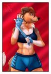 Rating: s
ID: 1794786
Date: 2019-02-17 09:11:55 -0500
Status: active
Score: 47
2019 5_fingers abananaman anthro athletic athletic_anthro athletic_female bandage blue_eyes border bottomwear boxing bra brown_body brown_fur brown_nose canid canine canis cheek_tuft claws clothing collie conditional_dnp domestic_dog eyebrows eyelashes facial_tuft female finger_claws fingers floppy_ears fur hand_wraps herding_dog hi_res mammal midriff navel neck_tuft pastoral_dog red_background rough_collie sheepdog shorts simple_background smile solo sport sports_bra stacy_(grimsilverfire) teeth tuft underwear white_border wraps post #1794786