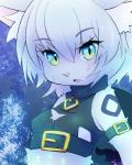 Rating: s
ID: 1798108
Date: 2019-02-21 02:19:26 -0500
Status: active
Score: 17
anthro assassin_of_black blue_eyes breasts chromatic_aberration clothed clothing cute_fangs erect_nipples fangs fate_(series) felid feline female fullmoon_gtrn fur green_eyes hair jack_the_ripper_(fate) kemono mammal nipple_outline nipples open_mouth scar solo teeth type-moon white_body white_fur white_hair post #1798108