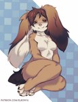 Rating: s
ID: 5164091
Date: 2024-11-06 10:25:41 -0500
Status: active
Score: 33
4_toes anthro black_hair brown_eyes elronya feet female floppy_ears fluffy fluffy_ears fluffy_hair freckles fur grey_body grey_fur hair hi_res lagomorph leporid long_ears long_hair lop_ears mammal navel rabbit ronya sitting sitting_on_ground smile solo suvi_(elronya) tail text toes url white_body white_fur post #5164091