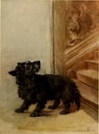 Rating: s
ID: 5552220
Date: 2025-05-06 01:59:49 -0400
Status: active
Score: 2
1910 20th_century ambiguous_gender ancient_art black_body black_fur black_nose canid canine canis domestic_dog eyebrows feet feral full-length_portrait fur hunting_dog inside looking_back mammal maud_earl portrait scottish_terrier shaded shadow side_view signature snout soft_shading solo stairs standing tail terrier toes traditional_media_(artwork) post #5552220