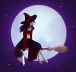 Rating: s
ID: 3627705
Date: 2022-10-15 00:35:45 -0400
Status: active
Score: 30
anthro black_body black_fur black_hair broom broom_riding canid canine cleaning_tool clothing collar dipstick_tail felicity_longis female flying fox fur green_eyes hair halloween hat headgear headwear hi_res holidays kttsunne leg_markings long_hair long_tail magic_user mammal markings moon red_body red_fur smile socks_(marking) solo star tail tail_markings white_body white_fur witch witch_hat post #3627705