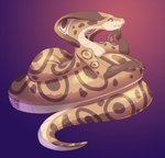 Rating: s
ID: 3402005
Date: 2022-06-20 15:47:00 -0400
Status: active
Score: 55
apode blue_eyes countershade_scales countershading draconcopode fangs female frown fushi7hesushi hand_on_chin hi_res legless naga renny_(mr.mortecai) reptile scales scalie serpentine snake snake_hood solo tan_body tan_scales teeth unavailable_at_source watermark post #3402005