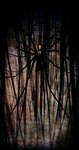 Rating: s
ID: 5545140
Date: 2025-05-02 23:50:40 -0400
Status: active
Score: 13
branch clothed clothing creepy creepy_face creepypasta faceless_character forest forest_background horror_(theme) humanoid long_arms long_legs long_limbs looking_at_viewer male nature nature_background necktie outside piratecashoo plant slenderman solo suit tentacles tree post #5545140