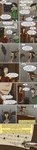 post #1540240