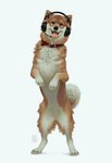 Rating: s
ID: 3741389
Date: 2022-12-09 13:48:58 -0500
Status: active
Score: 84
ambiguous_gender belly bodily_fluids canid canine canis collar curled_tail domestic_dog drooling electronics featureless_crotch feral fur headphones konami looking_at_viewer mammal mira_(silent_hill) on_hind_legs open_mouth saliva shiba_inu silent_hill simple_background solo spitz tail tan_body tan_fur tongue tongue_out white_background white_belly zietro post #3741389