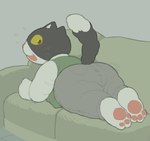 Rating: s
ID: 5538608
Date: 2025-04-29 22:17:11 -0400
Status: active
Score: 10
2025 3_toes anthro barefoot big_butt black_body black_fur blush blush_lines bodily_fluids bottomwear butt cafongterua clothed clothing digital_media_(artwork) dipstick_tail domestic_cat feet felid feline felis fingers flat_colors flying_sweatdrops fully_clothed fur furniture green_clothing green_jacket green_topwear grey_background grey_bottomwear grey_clothing grey_pants jacket looking_at_viewer looking_back looking_back_at_viewer lying male mammal markings multicolored_body multicolored_fur on_front on_sofa open_mouth open_smile pants pawpads pink_nose pink_pawpads pockets raised_tail rear_view rufuta_hachitani shirt simple_background slightly_chubby smile snaggle_tooth sofa solo sweat sweatdrop tail tail_markings thick_thighs toes topwear two_tone_body two_tone_fur whiskers white_body white_clothing white_fur white_shirt white_topwear working_buddies! yellow_sclera post #5538608