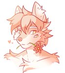 Rating: s
ID: 4171840
Date: 2023-07-15 07:24:10 -0400
Status: active
Score: 14
3_eyes 4_eyes absurd_res anthro canid canine canis flower fluffy fluffy_hair fluffy_head hair heart_symbol hi_res inner_ear_fluff male mammal multi_eye plant ramiil red_flower solo tuft wolf post #4171840