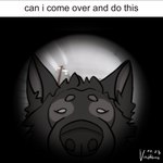 Rating: s
ID: 4979829
Date: 2024-08-11 18:38:45 -0400
Status: active
Score: 22
anthro black_body black_fur black_nose canid canine canis ears_up eyebrows fur letterbox looking_at_viewer looking_through looking_through_hole male mammal max_damage_(furry) meme simple_background simple_eyes solo text vanitum wolf post #4979829