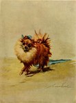 Rating: s
ID: 5552246
Date: 2025-05-06 02:16:44 -0400
Status: active
Score: 7
1910 20th_century ambiguous_gender ancient_art black_nose blue_ribbon brown_body brown_fur canid canine canis domestic_dog feral fluffy full-length_portrait fur looking_at_viewer mammal maud_earl mouth_closed pomeranian portrait shaded shadow signature simple_background snout soft_shading solo spitz tail tan_background tan_body tan_fur three-quarter_view traditional_media_(artwork) walking post #5552246
