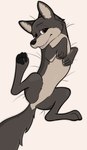 Rating: s
ID: 4333597
Date: 2023-10-05 04:07:28 -0400
Status: active
Score: 1
ambiguous_gender canid canine canis darkwarks digital_media_(artwork) featureless_crotch feral fur hi_res looking_at_viewer mammal open_mouth simple_background smile solo tail teeth wolf post #4333597