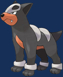 Rating: s
ID: 5707233
Date: 2025-07-13 22:17:20 -0400
Status: active
Score: 1
alpha_channel ambiguous_gender black_body black_ears black_fur black_tail canid canine fangs fur generation_2_pokemon hi_res houndour ken_sugimori mammal mouth_closed nintendo official_art orange_body orange_fur pokemon pokemon_(species) quadruped side_view simple_background snaggle_tooth solo tail teeth three-quarter_view transparent_background post #5707233