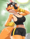Rating: s
ID: 5582592
Date: 2025-05-18 22:50:21 -0400
Status: active
Score: 47
2025 anthro big_breasts bodily_fluids bottomwear bra breasts canid canine cleavage clothed clothing diane_foxington dreamworks female fingerless_gloves fox fur gloves handwear headgear headwear hi_res mammal navel orange_body orange_fur solo sports_bra sportswear steam sweat tail the_bad_guys thick_thighs underwear zebra10045 post #5582592