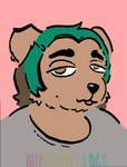 Rating: s
ID: 4458934
Date: 2023-12-07 17:02:52 -0500
Status: active
Score: 1
anthro bearded_collie brown_body brown_fur brown_hair canid canine canis cheek_tuft clothing domestic_dog eyebrows facial_tuft floppy_ears fur green_hair grey_clothing hair half-closed_eyes herding_dog hi_res male mammal marikedrawinge markings mole_(marking) multicolored_hair narrowed_eyes pastoral_dog percy_(magnetiorchid) shirt simple_background solo text text_on_clothing text_on_shirt text_on_topwear tongue tongue_out topwear tuft two_tone_hair post #4458934