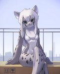 Rating: s
ID: 3150798
Date: 2022-01-30 22:14:02 -0500
Status: active
Score: 601
:3 absurd_res anthro bent_legs biped black_body black_fur black_markings black_spots box breasts building cardboard cardboard_box casual_nudity changed_(video_game) chest_tuft city city_background claws container countershade_face countershade_fur countershade_torso countershading crossed_legs day detailed_background digital_media_(artwork) eye_markings featureless_breasts felid female finger_claws front_view fur green_eyes grey_body grey_claws grey_ears grey_fur grey_nose hair hi_res kemono leg_over_thigh leopard_(changed) lmscccd long_hair looking_at_viewer mammal markings monotone_hair multicolored_body multicolored_fur navel nude outdoor_nudity outside pantherine pinup portrait pose pupils railing shaded sitting sky slim slit_pupils small_breasts small_waist smile snow_leopard solo spots spotted_body spotted_fur three-quarter_portrait tuft white_body white_countershading white_fur white_hair white_inner_ear wide_hips post #3150798
