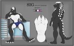 Rating: s
ID: 5190490
Date: 2024-11-18 17:11:21 -0500
Status: active
Score: 9
4_toes absurd_res anthro biped black_body character_name claws clothed clothing color_swatch english_text feet hair hi_res kurtcbrox macro male model_sheet multicolored_body muscular muscular_anthro muscular_male nude paws plantigrade purple_eyes sig_(me-havoc) sitting_on_building solo space_dragon spikes spikes_(anatomy) standing tail text toe_claws toes two_tone_body underwear underwear_only white_hair post #5190490