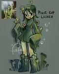 Rating: s
ID: 5589810
Date: 2025-05-22 01:09:34 -0400
Status: active
Score: 9
antennae_(anatomy) clothing dress elemental_creature elemental_humanoid feefal female fungi_fauna fungi_humanoid fungus green_body green_hair green_skin green_theme hair hi_res humanoid lichen lichen_humanoid monster_girl_(genre) not_furry solo tongue tongue_out post #5589810