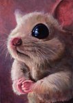 Rating: s
ID: 5127943
Date: 2024-10-20 14:11:59 -0400
Status: active
Score: 15
2015 5_fingers acrylic_painting_(artwork) ambiguous_gender black_eyes brown_body brown_fur colored feral fingers fur hands_together hi_res light lighting mammal mouse mouth_closed murid murine painting_(artwork) pink_background pink_ears pink_nose poopbear realistic rodent shaded simple_background solo traditional_media_(artwork) traditional_painting_(artwork) whiskers post #5127943