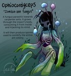 Rating: s
ID: 5589884
Date: 2025-05-22 01:50:57 -0400
Status: active
Score: 13
4_arms animal_humanoid ant_humanoid arthropod arthropod_humanoid bangs black_hair blunt_bangs cordyceps elemental_creature elemental_humanoid english_text feefal female fungi_fauna fungi_humanoid fungus gradient_arms hair hi_res humanoid hymenopteran hymenopteran_humanoid insect insect_humanoid long_hair multi_arm multi_limb rib_cage solo spores text undead zombie post #5589884
