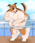 Rating: s
ID: 5514682
Date: 2025-04-19 12:37:34 -0400
Status: active
Score: 33
2024 4_toes anthro artist_name barefoot belly big_belly black_nose blue_clothing blue_swimming_trunks blue_swimwear bodily_fluids brown_body brown_fur canid canine canis claws clothed clothing cowdypie day digital_media_(artwork) dipstick_ears domestic_dog drooling ear_markings eyebrows eyewear feet fence finger_claws fingers front_view full-length_portrait fur glasses hanging_belly hi_res leaning leaning_forward male mammal moobs multicolored_body multicolored_ears multicolored_fur nipples obese obese_anthro obese_male open_mouth orange_body orange_fur outside overweight overweight_anthro overweight_male pink_tongue portrait raised_tail saliva shadow snout solo standing striped_swimming_trunks sunglasses sweat sweatdrop swimming_trunks swimwear tail teeth text thick_thighs toes tongue tongue_out topless watermark wearing_glasses wide_hips post #5514682
