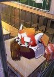 post #5641621