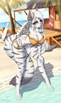 Rating: s
ID: 2342573
Date: 2020-07-24 13:48:19 -0400
Status: active
Score: 38
absurd_res accessory anthro barefoot beach big_breasts black_stripes blue_eyes breasts building clothing detailed_background english_text feet felid female fur hair hair_accessory hair_tie hi_res long_hair long_tail mammal melody_(sakuradlyall) mintjuice palm_tree pantherine pink_nose plant rock sand seaside sky solo stripes swimwear tail text tiger tree water white_body white_fur post #2342573