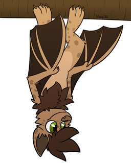 Rating: s
ID: 5669271
Date: 2025-06-26 16:07:58 -0400
Status: active
Score: 1
2025 anthro bat branch brown_body brown_wings claws flying_fox fur green_eyes hanging_upside_down hi_res male mammal markings megabat membrane_(anatomy) membranous_wings moemneop neop_(moemneop) semi-anthro signature solo spots spotted_body spotted_fur toe_claws toony upside_down wings post #5669271