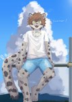 Rating: s
ID: 5655626
Date: 2025-06-20 12:59:51 -0400
Status: pending
Score: 0
anthro blue_sky bottomwear clothing cloud felid front_view fur green_eyes hair hi_res jinbuuck leopard looking_at_viewer male mammal markings neck_tuft pantherine railing shirt shorts sitting sky solo spots spotted_body spotted_fur text topwear tuft post #5655626
