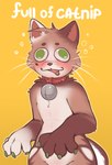 Rating: s
ID: 5473876
Date: 2025-04-01 11:09:27 -0400
Status: active
Score: 26
anthro bell bell_collar big_eyes catnip collar domestic_cat drugs drunk farvvie felid feline felis fur goofy_smile hi_res male mammal open_mouth rosco_(farvvie) simple_background solo substance_intoxication post #5473876