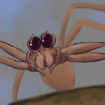 Rating: s
ID: 5540398
Date: 2025-04-30 21:27:44 -0400
Status: active
Score: 12
4_eyes ambiguous_gender arachnid arthropod big_eyes close-up depth_of_field fangs feral hair hi_res looking_at_viewer multi_eye ogre-faced_spider pedipalps realistic simple_background solo spider teeth teratori post #5540398