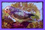 Rating: s
ID: 2027333
Date: 2019-10-18 18:07:24 -0400
Status: active
Score: 5
2019 ambiguous_gender avian beak bird blue_body blue_feathers digital_media_(artwork) feathered_wings feathers feet feral jagal monk_parakeet neotropical_parrot parakeet parrot simple_background solo talons toes true_parrot wings post #2027333