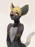 Rating: s
ID: 2128944
Date: 2020-01-25 21:13:43 -0500
Status: active
Score: 179
absurd_res african_wild_dog anthro blush canid canine choker digital_media_(artwork) ear_piercing ear_ring fur hi_res jewelry looking_at_viewer lull_(skully) male mammal markings necklace nipples nude orange_eyes piercing ring_piercing skully smile solo spots spotted_body spotted_fur post #2128944