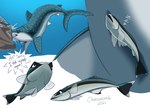 Rating: s
ID: 5431683
Date: 2025-03-13 20:52:34 -0400
Status: active
Score: 5
2021 black_body blue_body blue_tail bumping carpet_shark chainsxwsmile destiny_(finding_dory) disney english_text eyes_closed female feral finding_dory finding_nemo fish group marine pixar remora shark shark_tail sleeping sound_effects spots tail text underwater vowelless vowelless_sound_effect water whale_shark white_spots zzz post #5431683