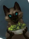 Rating: s
ID: 2909546
Date: 2021-09-03 11:28:53 -0400
Status: active
Score: 85
2013 ambiguous_gender blue_background blue_sclera bowl brown_body brown_fur claws container domestic_cat excited felid feline felis feral food fur happy hi_res hungry leg_markings lettuce mammal markings orphen-sirius plant salad siamese signature simple_background socks_(marking) solo vegetable whiskers white_claws post #2909546