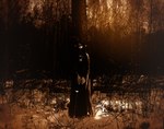 Rating: s
ID: 5441065
Date: 2025-03-18 02:52:35 -0400
Status: active
Score: 16
ambiguous_gender black_clothing black_robe claws clothing demon demon_humanoid draw_over fairy forest glowing glowing_eyes hair hi_res horn humanoid humanoid_pointy_ears hybrid inverted_pentagram jewelry long_hair monochrome nature necklace occult_symbol outside pentagram pentagram_necklace photo_background photo_manipulation photography_(artwork) plant pointy_ears pupils robe satanic sepia snow solo symbol taraelblackwing tree white_pupils winter post #5441065