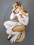 Rating: s
ID: 2281512
Date: 2020-06-03 20:59:19 -0400
Status: active
Score: 13
2020 absurd_res anthro band-aid bandage black_nails blush canid canine canis chest_pain colored_nails coywolf digital_media_(artwork) fur hand_on_chest hand_on_muzzle hi_res hybrid male male_(lore) mammal multicolored_body multicolored_fur multicolored_tail nails sgrpi signature simple_background solo tail teeth_showing wudo_(wudotcw) post #2281512