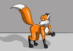 Rating: s
ID: 5619173
Date: 2025-06-03 19:14:40 -0400
Status: active
Score: 4
2009 after_transformation black_ear_tips black_markings black_nose canid canine colored countershade_face countershade_neck countershade_torso countershading digitigrade dipstick_ears dipstick_tail ear_markings feral fox fox0808 glistening glistening_body glistening_legs glsitening_tail grey_background inner_ear_fluff leg_markings looking_back_at_self male mammal markings mouthless multicolored_ears nude orange_body orange_tail paws quadruped raised_tail shadow simple_background snout socks_(marking) solo standing tail tail_markings three-quarter_view tuft white_inner_ear_fluff white_markings worried post #5619173