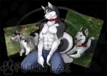 Rating: s
ID: 51097
Date: 2009-11-24 17:33:08 -0500
Status: active
Score: 5
alpha_channel black_border blue_eyes border bottomwear canid canine canis clothed clothing collar denim denim_bottomwear denim_clothing domestic_dog feral husky jeans male mammal nordic_sled_dog pants photo real simple_background solo spitz tail transparent_background unknown_artist unzipped unzipped_pants zipper zipper_down post #51097